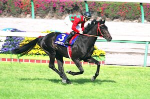 陽はまた昇る - コスモサンビーム