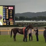 サリオスの大きな夢、大きな希望