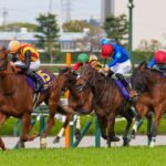 ［今週の競馬］今週は3歳女王決定戦！土曜日は京都で大井に繋がる1戦