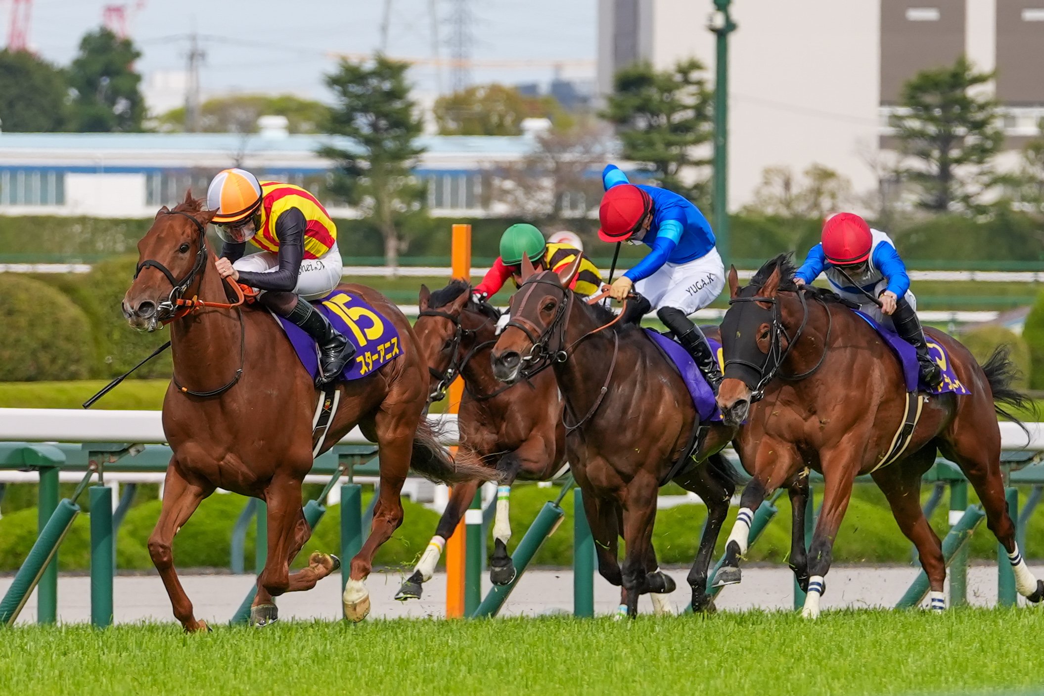 ［今週の競馬］今週は3歳女王決定戦！土曜日は京都で大井に繋がる1戦