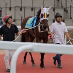 ［連載・片目のサラブレッド福ちゃんのPERFECT DAYS］ルリモハリモのデビュー戦（シーズン2-12）