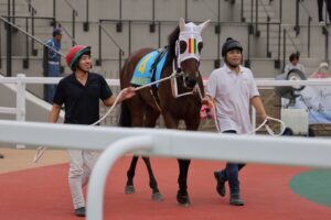 ［連載・片目のサラブレッド福ちゃんのPERFECT DAYS］ルリモハリモのデビュー戦（シーズン2-12）