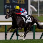 ［今週の競馬］牡牝3歳馬、そしてマイルの頂上決戦へ。各場で主要ステップレースが開催