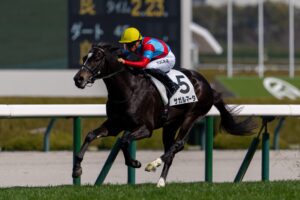 ［今週の競馬］牡牝3歳馬、そしてマイルの頂上決戦へ。各場で主要ステップレースが開催