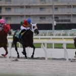 ［連載・片目のサラブレッド福ちゃんのPERFECT DAYS］無償の愛（シーズン2-13）