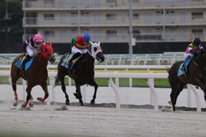 ［連載・片目のサラブレッド福ちゃんのPERFECT DAYS］無償の愛（シーズン2-13）