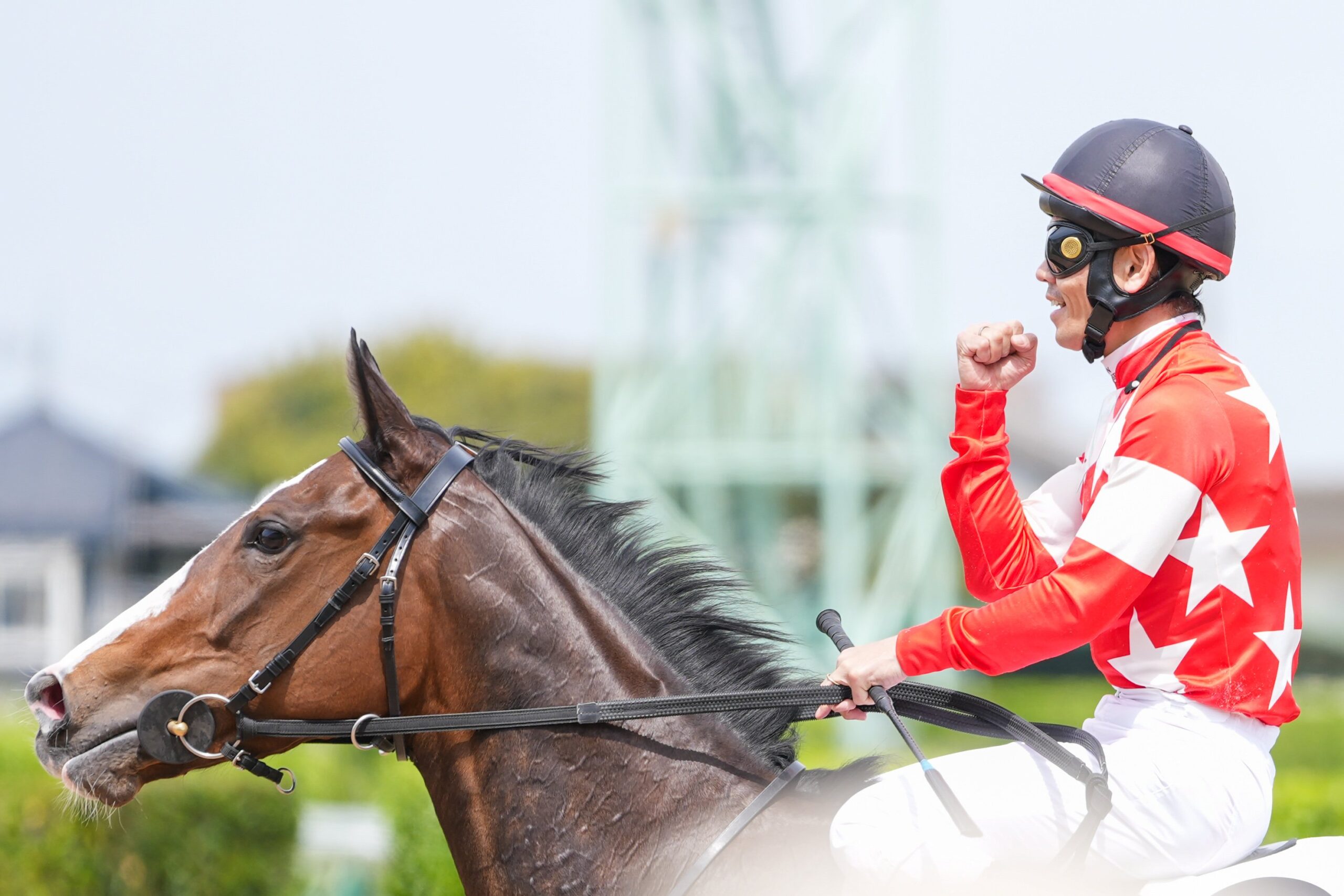 ［リーディング］リーディング上位は堅実も、各部門で超加速の人馬が多数！