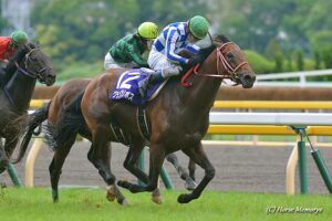 だけど、走る。だから、走る - グランプリボス