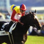 ［世界への挑戦］孤高、半馬身届かず　日本が頂に近づいた日 - エルコンドルパサー