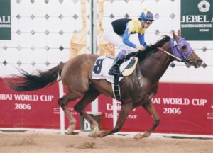［世界への挑戦］砂の理想郷へ到達した馬 - ユートピア