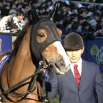 ［今週の注目馬］チェルヴィニア、5歳春の逆襲なるか。二冠牝馬がヴィクトリアマイルに出走
