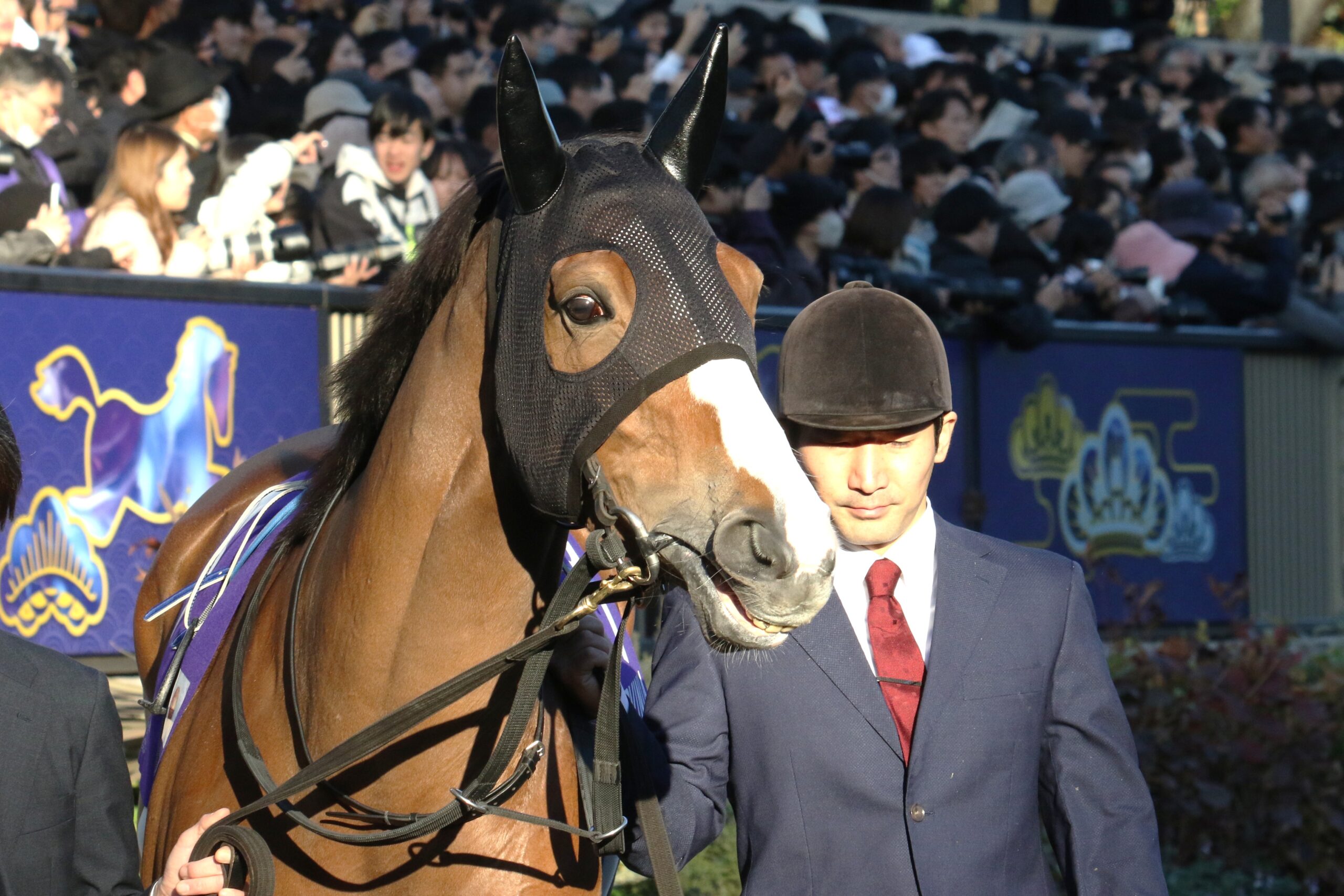 ［今週の注目馬］チェルヴィニア、5歳春の逆襲なるか。二冠牝馬がヴィクトリアマイルに出走