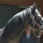 「絵になる瞬間」を作る馬〜東京競馬場にエイシンフラッシュが凱旋した日〜