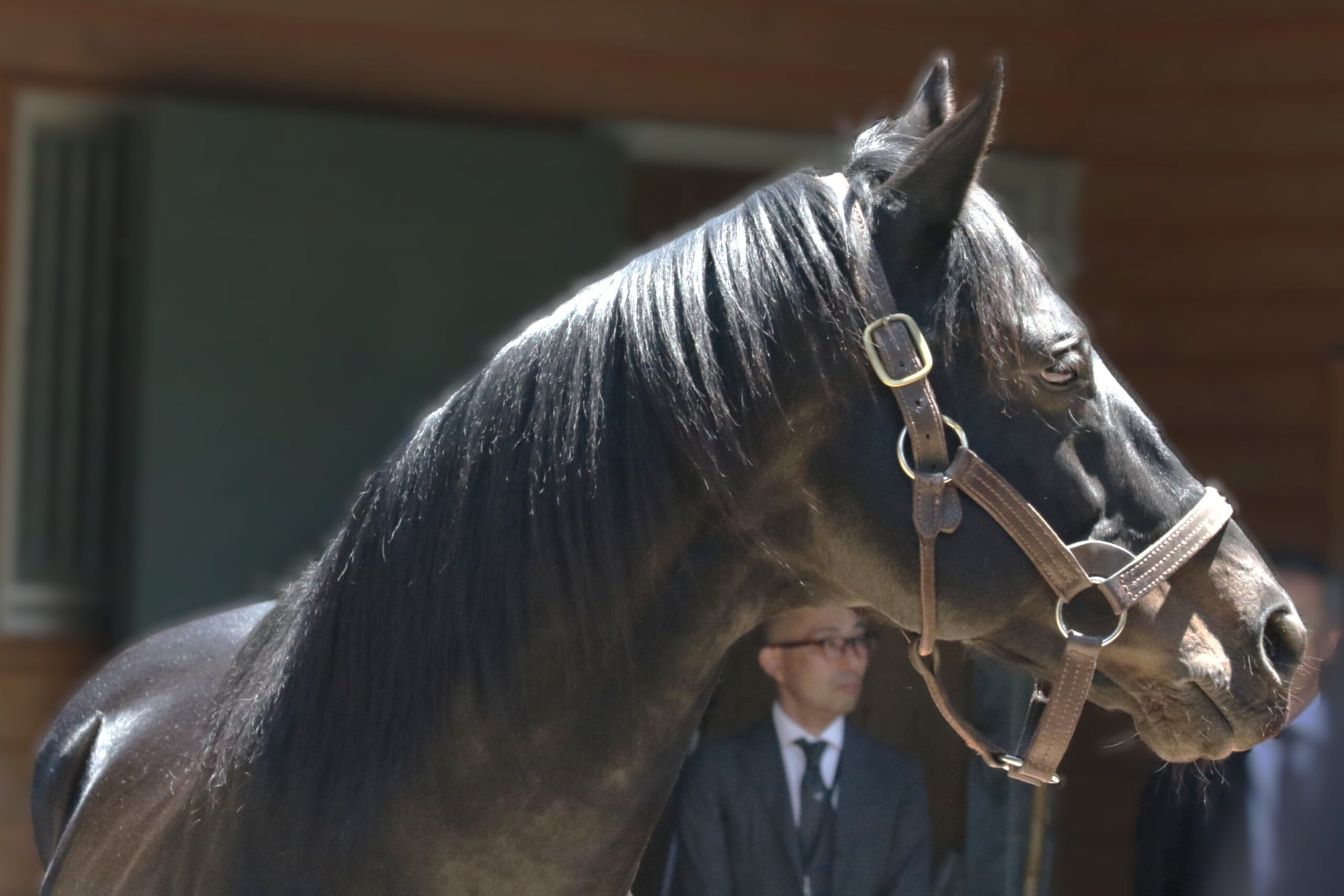 「絵になる瞬間」を作る馬〜東京競馬場にエイシンフラッシュが凱旋した日〜