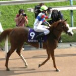 奇跡の薔薇、東京に咲く！テンハッピーローズが勝利した2024年ヴィクトリアマイルを振り返る