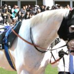 ［今週の注目馬］白馬の王子様アマンテビアンコに、もう一度「府中の歓声」を！