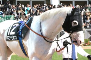［今週の注目馬］白馬の王子様アマンテビアンコに、もう一度「府中の歓声」を！