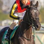 ［今週の競馬］今週から5週連続の府中GⅠシリーズ！ 土曜は西で京都新聞杯が開催