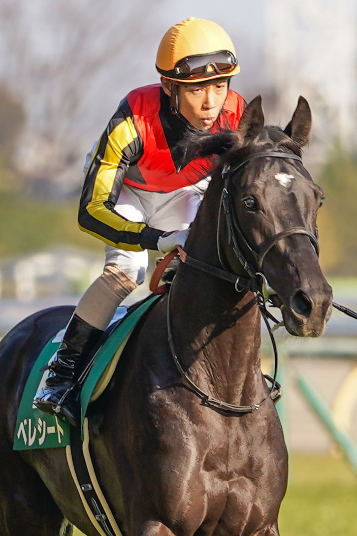 ［今週の競馬］今週から5週連続の府中GⅠシリーズ！ 土曜は西で京都新聞杯が開催