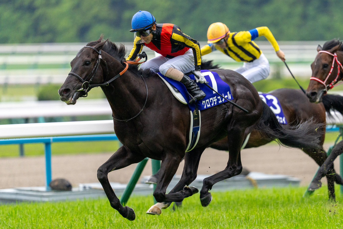 ［重賞回顧］キタサン祭り！淀に響いた産駒ワンツー～2026年・天皇賞（春）～