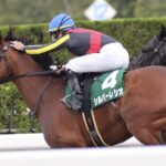［リーディング］種牡馬リーディングのトップが入れ替わる！騎手部門はルメール騎手がさらに前進