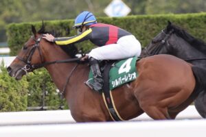 ［リーディング］種牡馬リーディングのトップが入れ替わる！騎手部門はルメール騎手がさらに前進