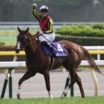 ［NHKマイルC］アドマイヤマーズ、カレンブラックヒル、メジャーエンブレム。NHKマイルCを制したダイワメジャー産駒たち