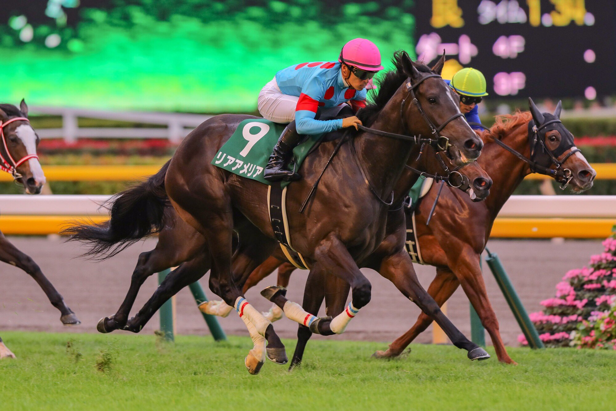 ［POG26-27］視線を集める名牝の初仔たち - 2、3歳芝重賞戦線で活躍した母の仔を並べる