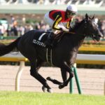 ［POG26-27］最終世代だからこそ面白い - 今年デビューの産駒がラストクロップとなる種牡馬たち