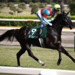 ［POG26-27］視線を集める名牝の初仔たち - 成長力に注目！芝重賞戦線で活躍した母の仔を並べる