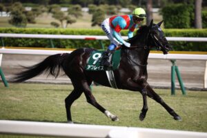 ［POG26-27］視線を集める名牝の初仔たち - 成長力に注目！芝重賞戦線で活躍した母の仔を並べる