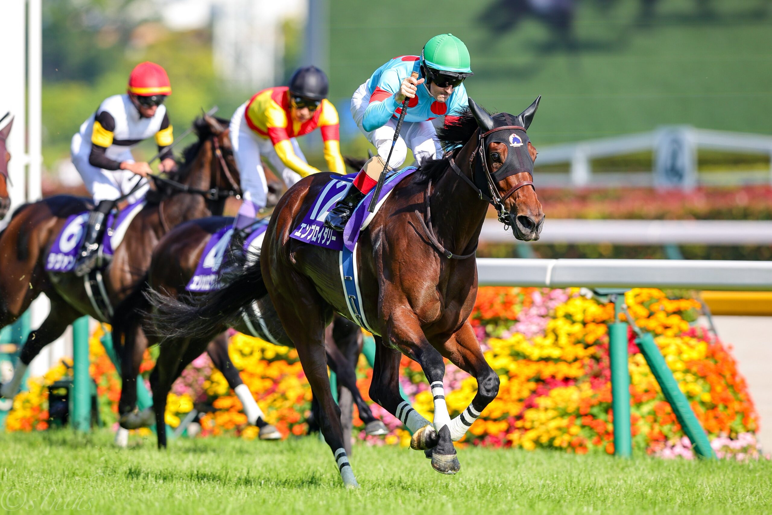 ［重賞回顧］2強激突！連綿と続く勝利への路～2026年・ヴィクトリアマイル～