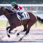 ［サラブレッド大辞典］屈腱炎のリハビリとは？　不屈の馬モーメントキャッチのあゆみとともに解説