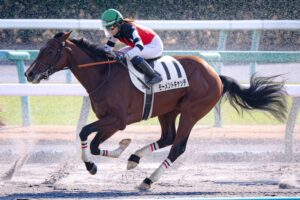 ［サラブレッド大辞典］屈腱炎のリハビリとは？　不屈の馬モーメントキャッチのあゆみとともに解説