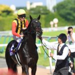 府中に甦った皐月賞馬の矜持 - 2016年安田記念、ロゴタイプ