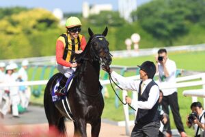 府中に甦った皐月賞馬の矜持 - 2016年安田記念、ロゴタイプ