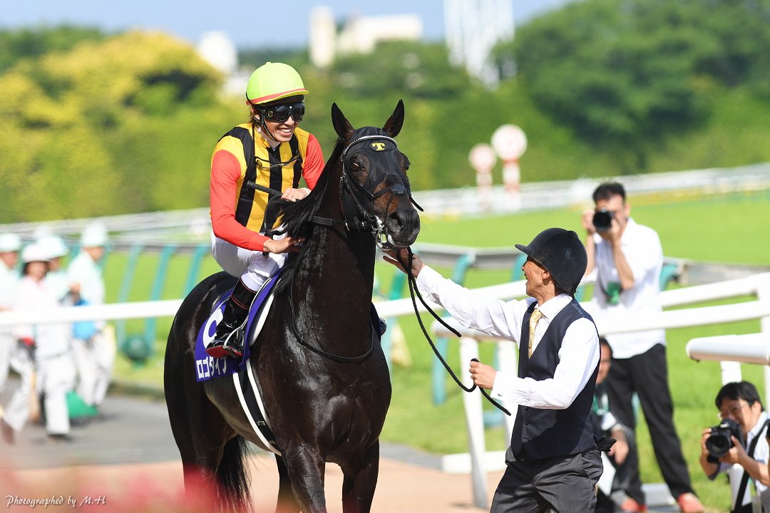 府中に甦った皐月賞馬の矜持 - 2016年安田記念、ロゴタイプ