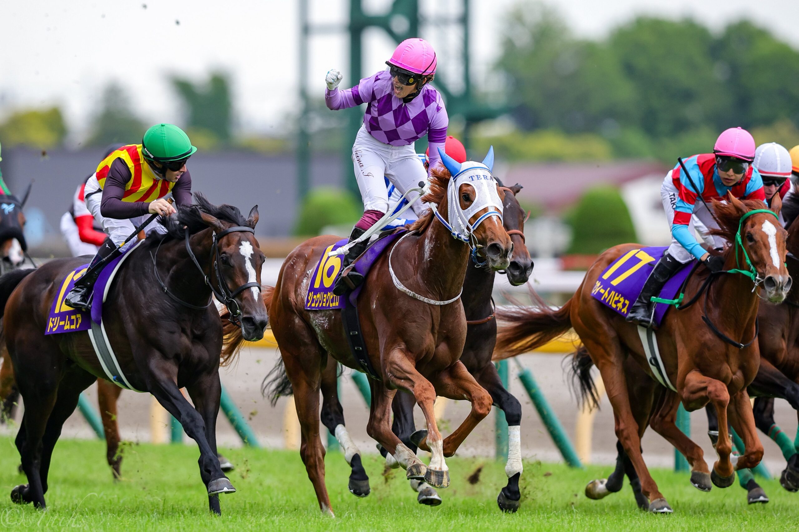 ［重賞回顧］人馬“父娘の偉業”達成!! 重力を超えて ～2026年・オークス～