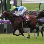 ［今週の競馬］5週連続の東京開催フィナーレは春のマイル王決定戦！