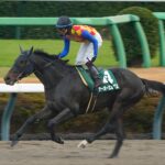 ［ニュースコラム］アメリカダート挑戦史。テーオーエルビスが切り拓く未来