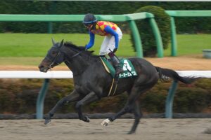 ［ニュースコラム］アメリカダート挑戦史。テーオーエルビスが切り拓く未来