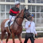 シンデレラの王子様はテン乗りで勝利に誘う。松戸政也騎手とホウオウシンデレラ