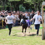 ［石神深一ブログ］富里市イベント「とみさと未来馬フェスタ2026」を振り返って