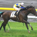 ［日本ダービー］日本ダービーに出走した萩原清調教師の管理馬たち
