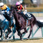 ［ニュースコラム］クロノジェネシスの初仔、ベレシートは、“令和のキズナ”になれるか？京都新聞杯の注目馬たち