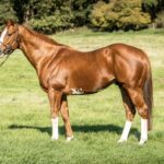 ［パーフェクト種牡馬辞典］真珠くん、海を渡る。パールシークレットが日本にやってくるまでの大冒険