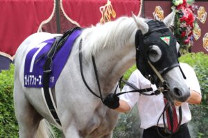 ［今週の注目馬］ガイアフォースが歩んだ惜敗の道、その先にある「悲願」のGⅠ安田記念