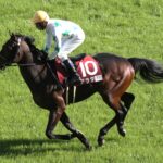 ［今週の注目］アラタ、北の夏にもう一度！9歳馬が刻む、函館記念への挑戦