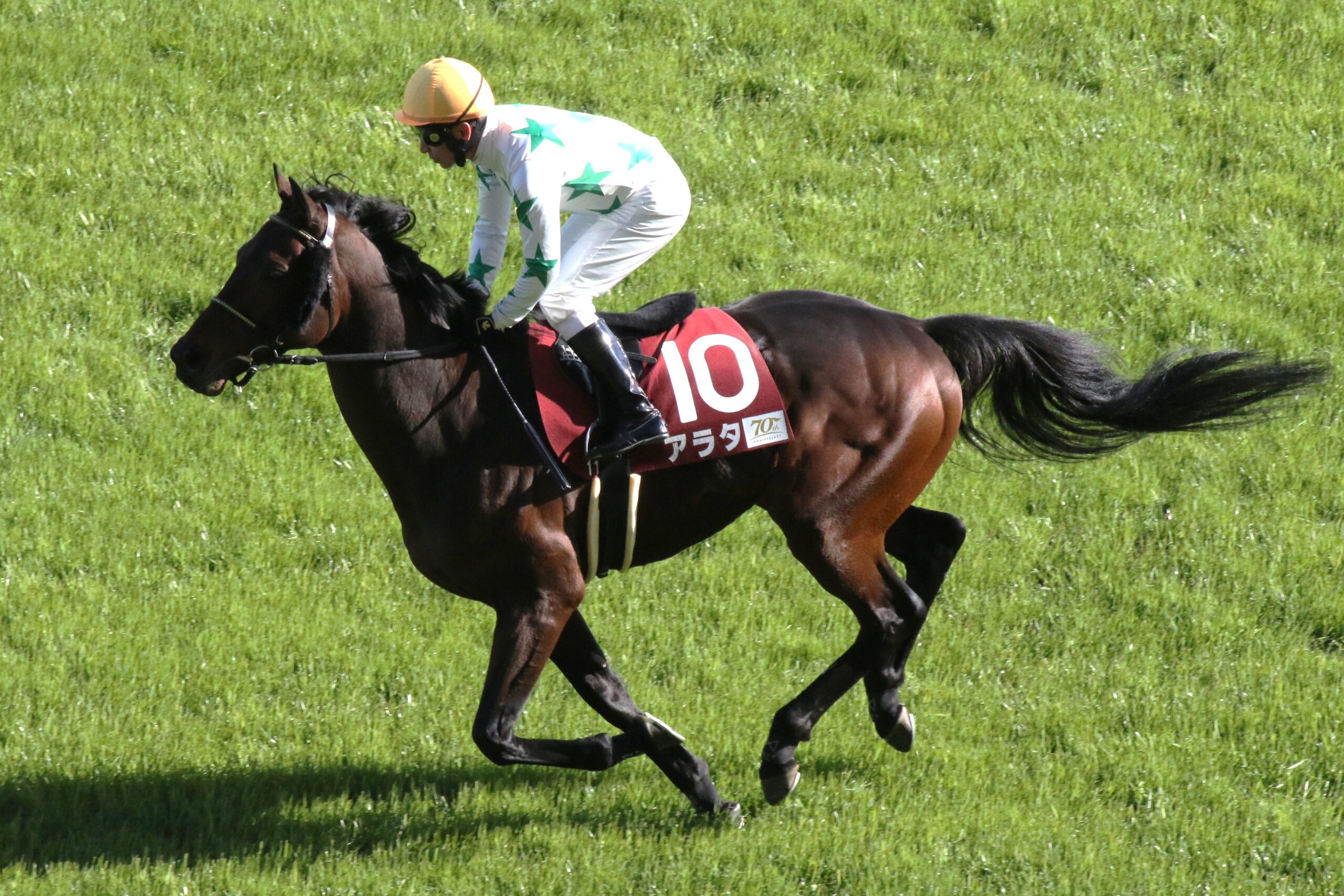今週の注目］アラタ、北の夏にもう一度！9歳馬が刻む、函館記念への