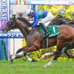 ［今週の競馬］函館で伝統のハンデ重賞、福島では秋を見据える3歳重賞が開催！